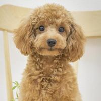 努力生活头像