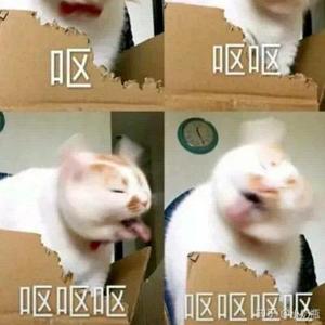 骑在银龙的背上头像