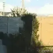 仙矢的个人资料头像