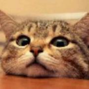 涛涛的水煮蛋的个人资料头像