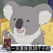 苦瓜烧猪咖的个人资料头像