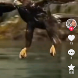 用户7488505489316头像