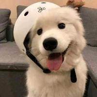 明哥丶头像