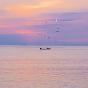 12931的个人资料头像