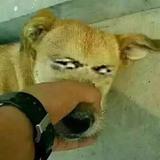 超级用户88888888头像