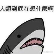 在摸鱼的个人资料头像