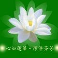 南天羽鹤头像