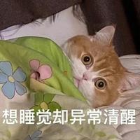 阿冷丷头像