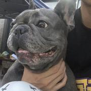 蒂烨大数据的个人资料头像