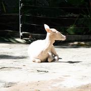 Heggria的个人资料头像