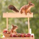 kimandy的个人资料头像