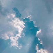 锦年_的个人资料头像