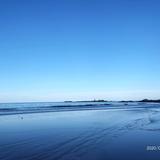 搞钱买大平层头像