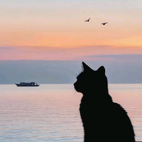 小祁超市服务号头像