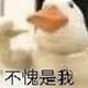 8u感觉好头像