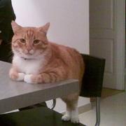 半岛铁盒576的个人资料头像