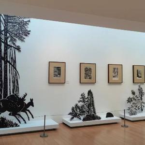 爱网络的我头像