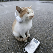 laboheme的个人资料头像