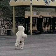 我的你的个人资料头像