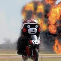 不如归去头像