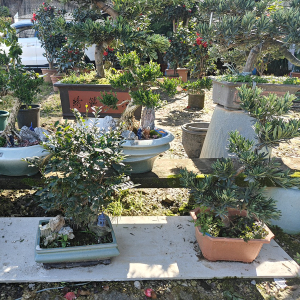 浩讯汽车销售小杨头像