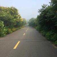 我想我是海头像