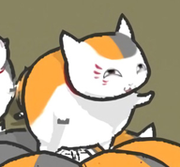 用户9981484438119的个人资料头像