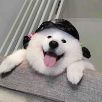 用户2426129626297头像