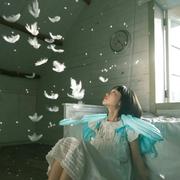 愿你决定的个人资料头像