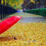 用户6818796882725头像