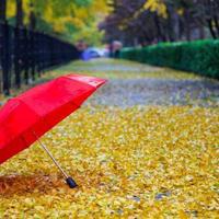 用户6818796882725头像