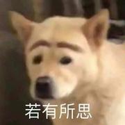 猛男开坦克的个人资料头像