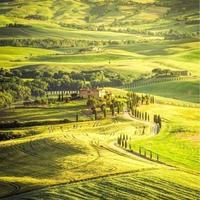 汽车创意猿头像