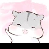 做你眼里的北极星头像