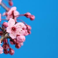 一句好久不见669头像