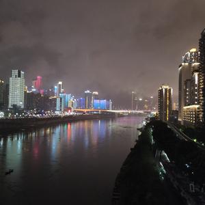 招财喵喵喵头像