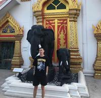 双坤精品车头像