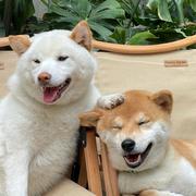 张涛736的个人资料头像