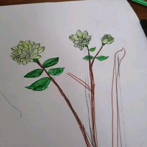 光着脚的人头像
