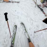 AD钙奶味碎冰冰头像