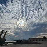 奔宝奥巴把头像