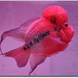 手机用户21912568846头像