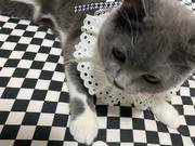 yw的个人资料头像