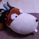 焱心的个人资料头像