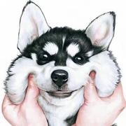 masterx69的个人资料头像