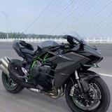 天马流星拳396头像
