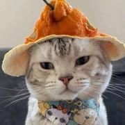 十二760的个人资料头像