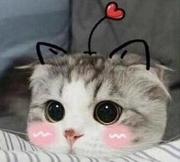 minzaizai的个人资料头像