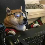 绿胡子的个人资料头像