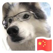 爱吃猫的鱼163的个人资料头像